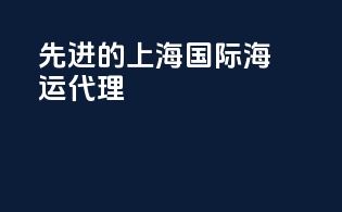 先进的上海国际海运代理