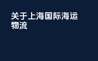 关于上海国际海运物流