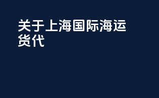 关于上海国际海运货代