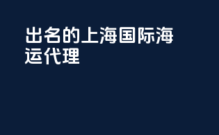 出名的上海国际海运代理