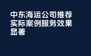 中东海运公司推荐：实际案例，服务效果显著