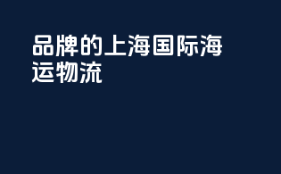 品牌的上海国际海运物流