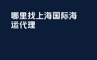哪里找上海国际海运代理