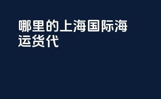 哪里的上海国际海运货代