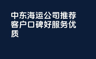 中东海运公司推荐：客户口碑好，服务优质