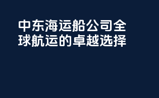 中东海运船公司：全球航运的卓越选择