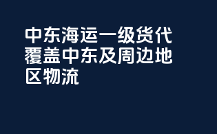 中东海运一级货代，覆盖中东及周边地区物流