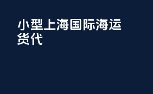 小型上海国际海运货代