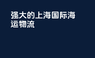 强大的上海国际海运物流