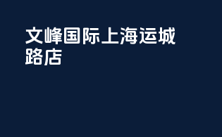 文峰国际上海运城路店
