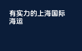 有实力的上海国际海运