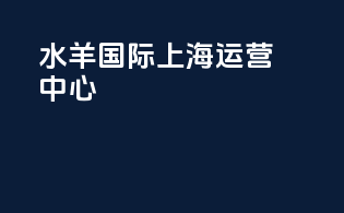 水羊国际 上海运营中心