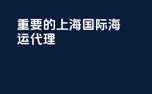 重要的上海国际海运代理