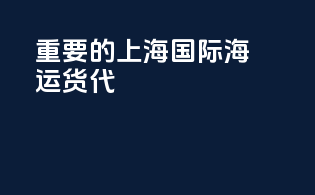 重要的上海国际海运货代