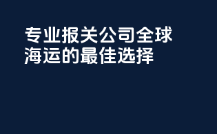 专业报关公司，全球海运的最佳选择！
