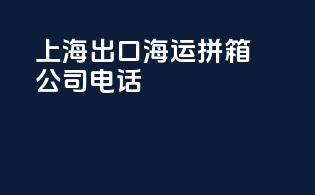 上海出口 海运拼箱公司电话