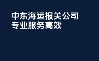中东海运报关公司，专业服务高效！