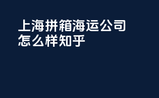 上海拼箱海运公司怎么样知乎