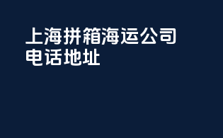 上海拼箱海运公司电话地址