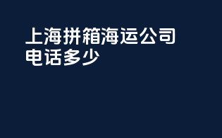 上海拼箱海运公司电话多少
