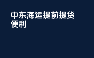 中东海运提前提货便利