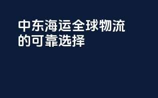 中东海运：全球物流的可靠选择