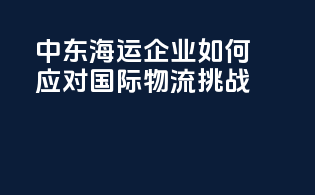 中东海运企业如何应对国际物流挑战
