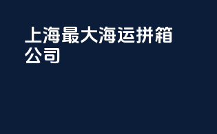上海最大海运拼箱公司