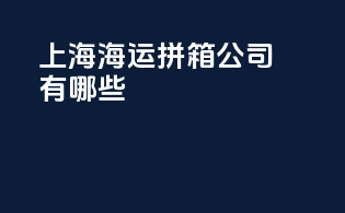上海海运拼箱公司有哪些