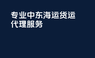 专业中东海运货运代理服务