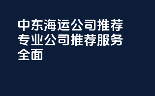 中东海运公司推荐：专业公司推荐，服务全面