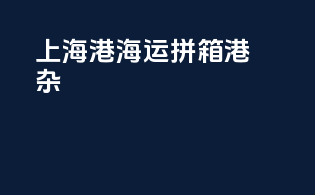 上海港海运拼箱港杂
