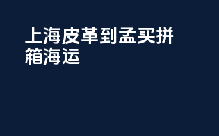 上海皮革到孟买拼箱海运