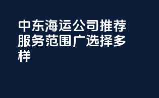 中东海运公司推荐：服务范围广，选择多样