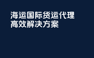海运国际货运代理高效解决方案