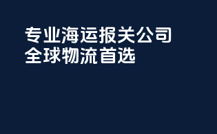 专业海运报关公司，全球物流首选！