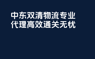 中东双清物流专业代理，高效通关无忧