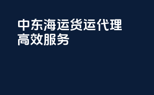 中东海运货运代理高效服务