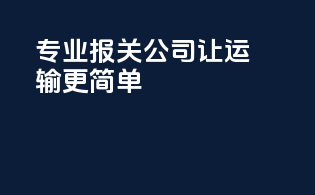 专业报关公司，让运输更简单！