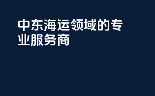中东海运领域的专业服务商