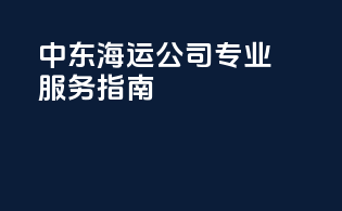 中东海运公司专业服务指南