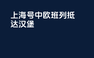 上海号中欧班列抵达汉堡