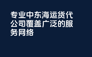 专业中东海运货代公司，覆盖广泛的服务网络