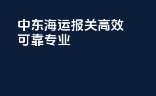 中东海运报关，高效可靠专业！