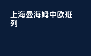 上海曼海姆中欧班列