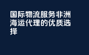 国际物流服务：非洲海运代理的优质选择