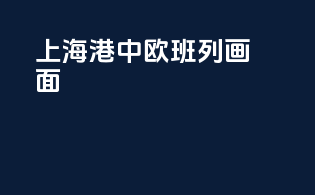 上海港中欧班列画面