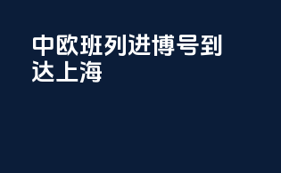 中欧班列进博号到达上海