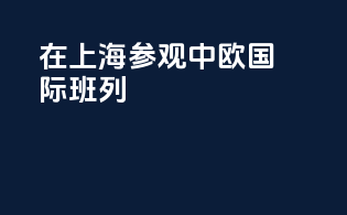 在上海参观中欧国际班列