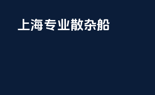 上海专业散杂船